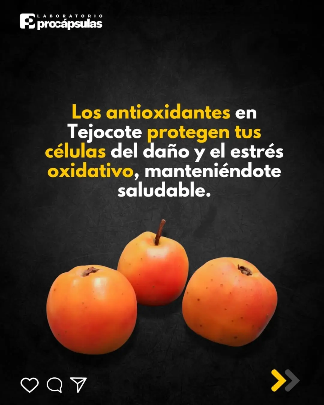 Asi funciona el Tejocote