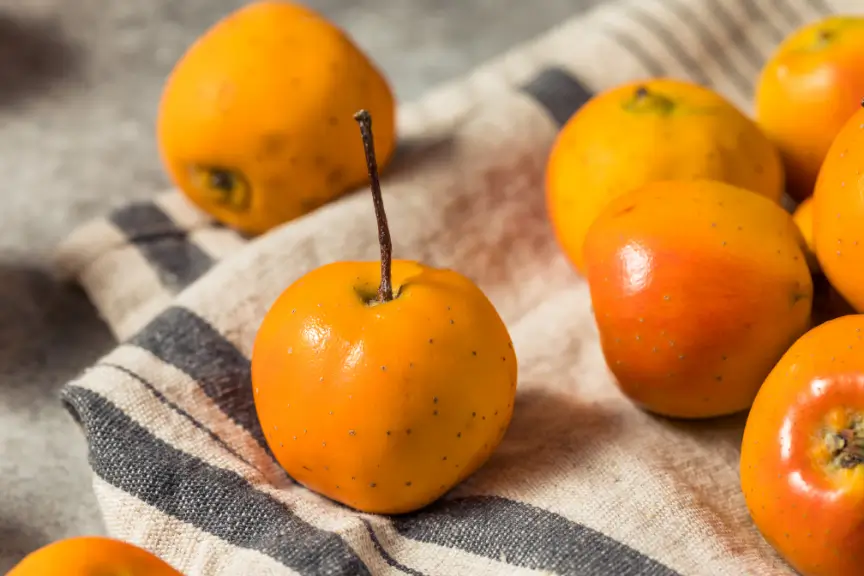 Historia del Tejocote